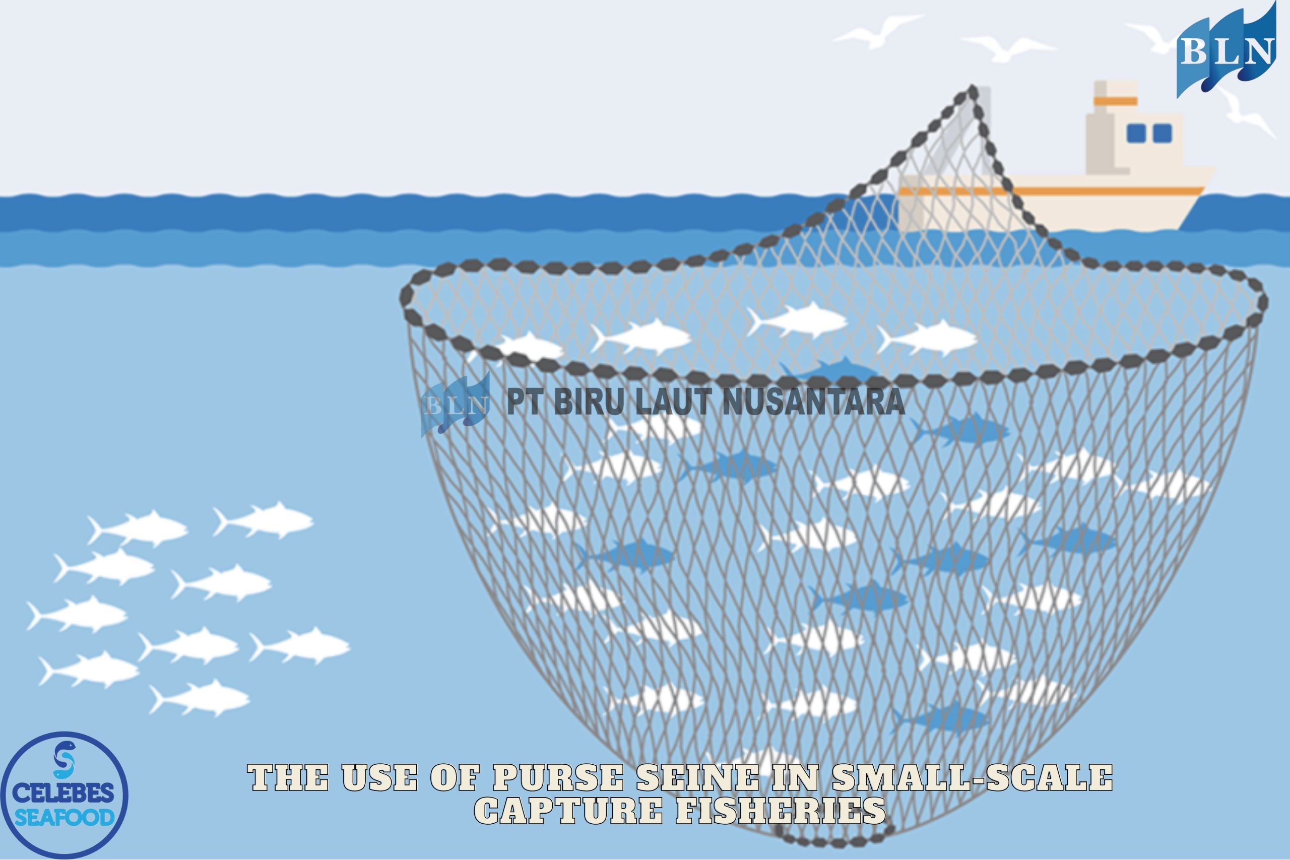 The Use of Purse Seine in Small-Scale Capture Fisheries